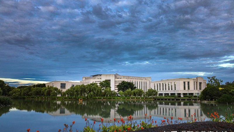 电子元件批发市场：揭秘供应商排名背后的逻辑