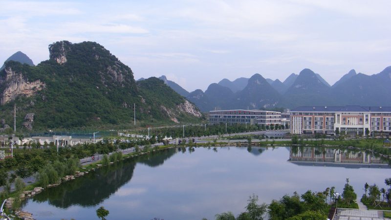 揭秘深圳电子元件市场：揭秘排名前十的品牌背后的秘密