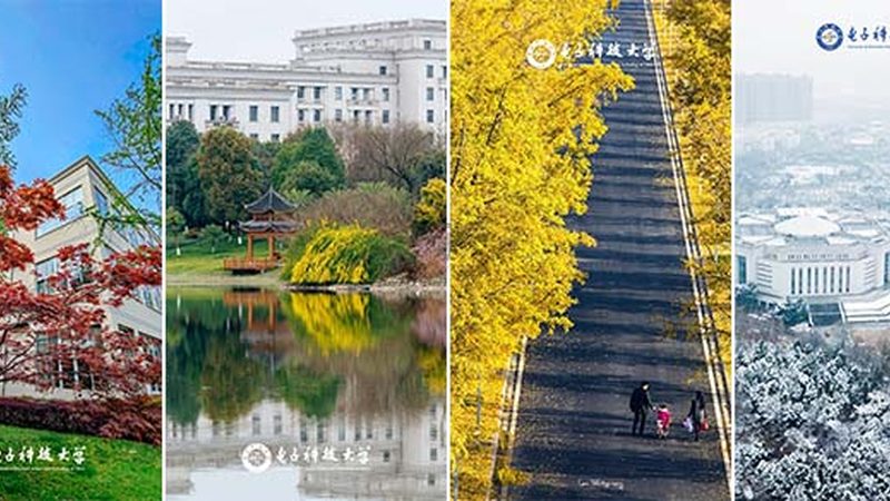 参数指标：二极管的参数指标是判断其性能优劣的重要依据。主要关注以下参数：