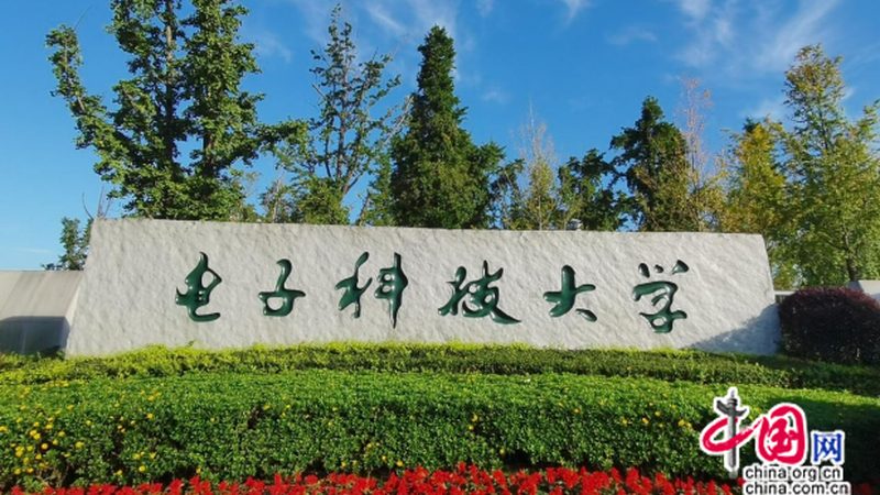 N4007二极管：揭秘其性能与选型要点